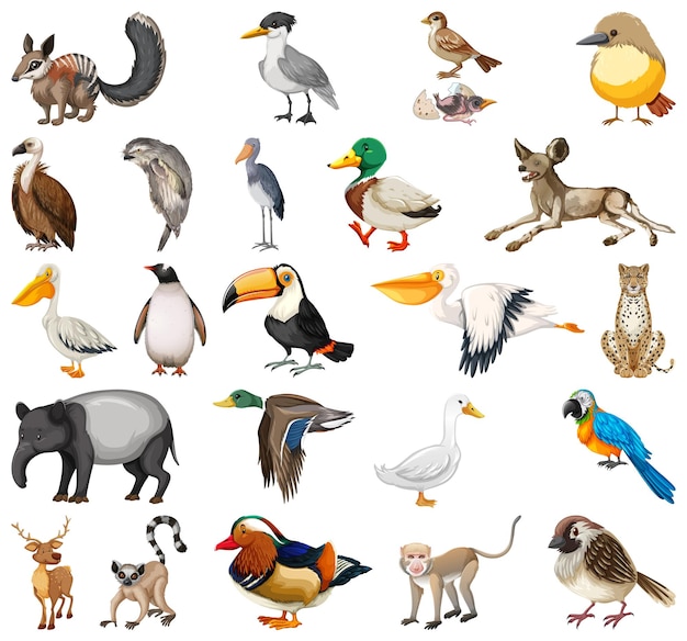 Вектор Коллекция различных видов животных
