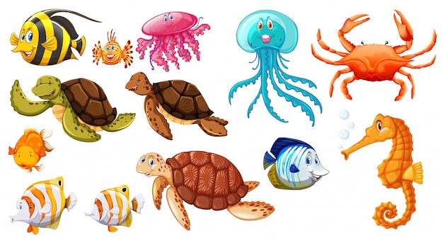 Different kinds of sea animals illustration