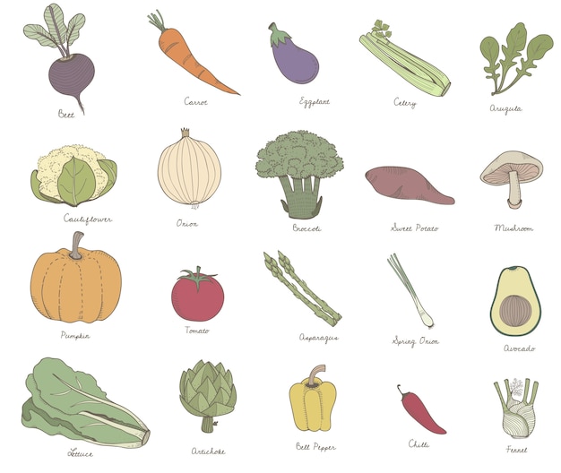 Different kinds of vegetables