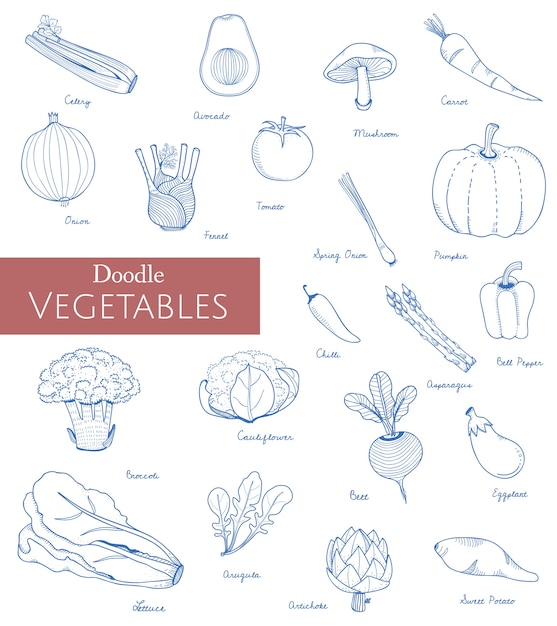 Different kinds of vegetables