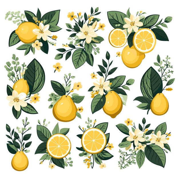 Vector different lemons with leaves and flowers background illustration