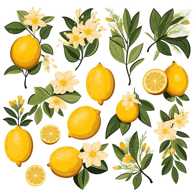 葉と花の背景イラストと別のレモン