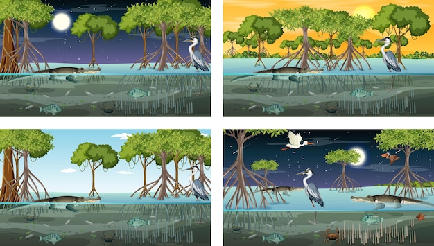 ベクトル 動物や植物とのさまざまなマングローブの森の風景のシーン