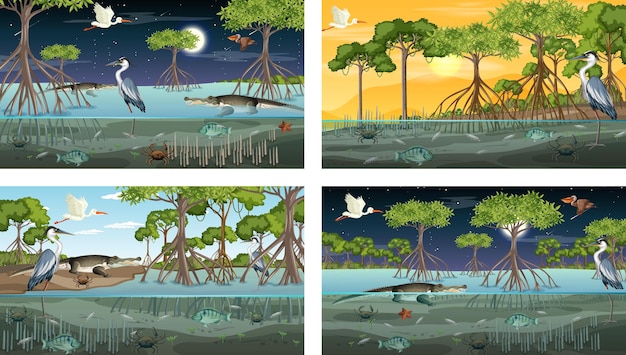 ベクトル 動物や植物とのさまざまなマングローブの森の風景のシーン