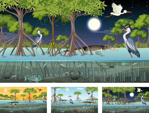 Different mangrove forest landscape scenes with animals and plants