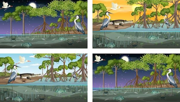 Vettore diverse scene di paesaggi di foreste di mangrovie con animali