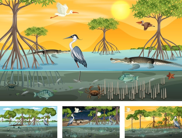 Vector different mangrove forest landscape scenes with animals