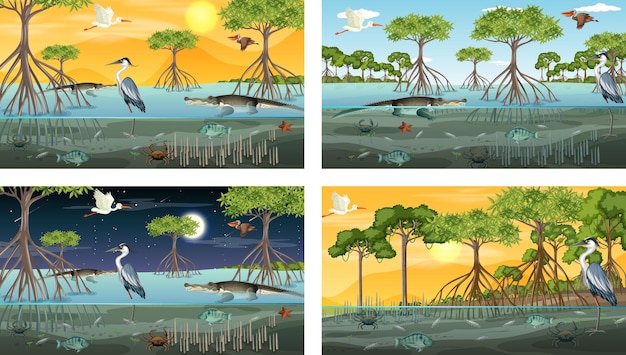 Different mangrove forest landscape scenes with animals