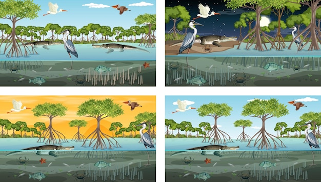 Different mangrove forest landscape scenes with various animals