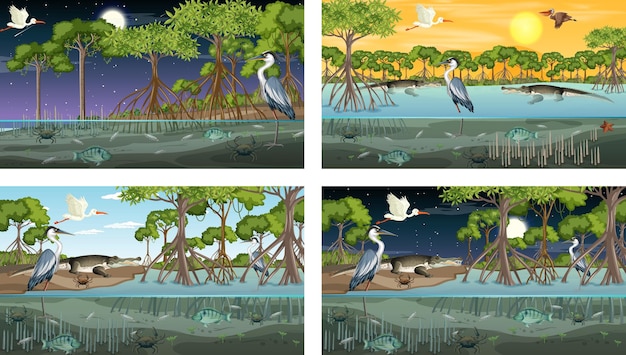 Vector different mangrove forest landscape scenes with various animals