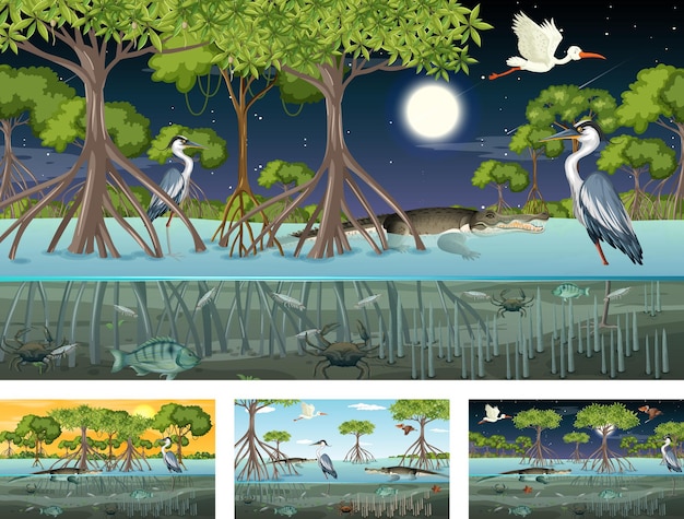 さまざまな動物とのさまざまなマングローブの森の風景のシーン
