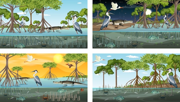 Vettore diverse scene di paesaggi di foreste di mangrovie con vari animali