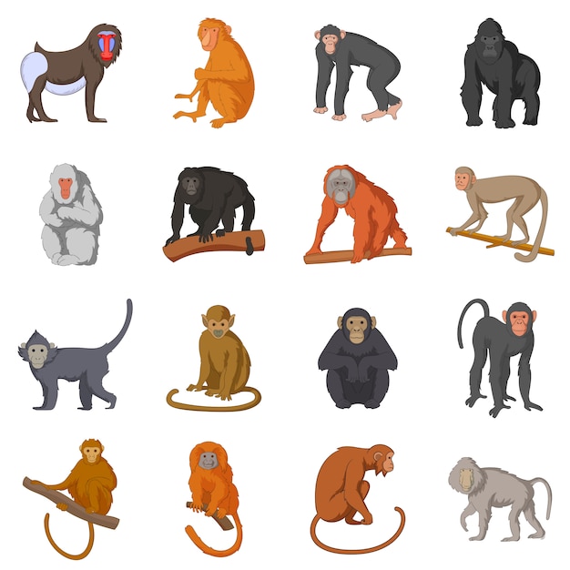 Vector different monkeys icons set