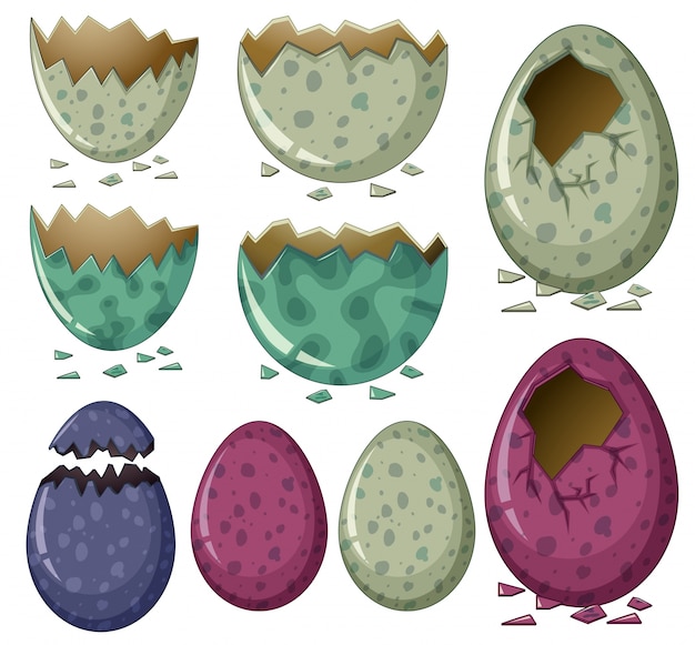 Different patterns of dinosaur eggs illustration