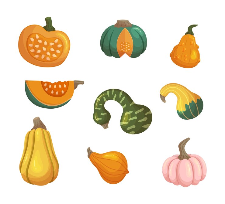 Vector 다양한 호박 익은 신선한 야채는 대담한 대조 색상 줄무늬 또는 다양한 색상의 점을 특징으로 하며 가을 장식 및 축제 만화 벡터 일러스트레이션에 생생한 터치를 추가합니다.