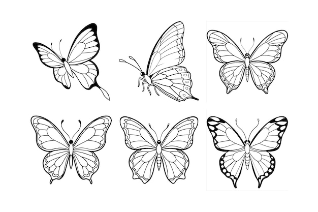 Vector different set of colorful decorative butterflies logo type and line art vector illustration