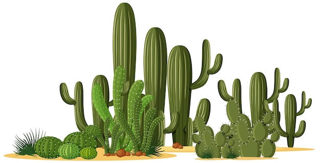 Vector different shapes of cactus in a group