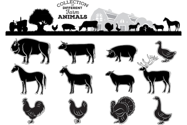 Vector different silhouettes and monochrome images of farm animals and birds