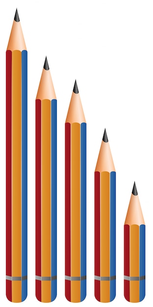 Vector different sizes of pencils on white background