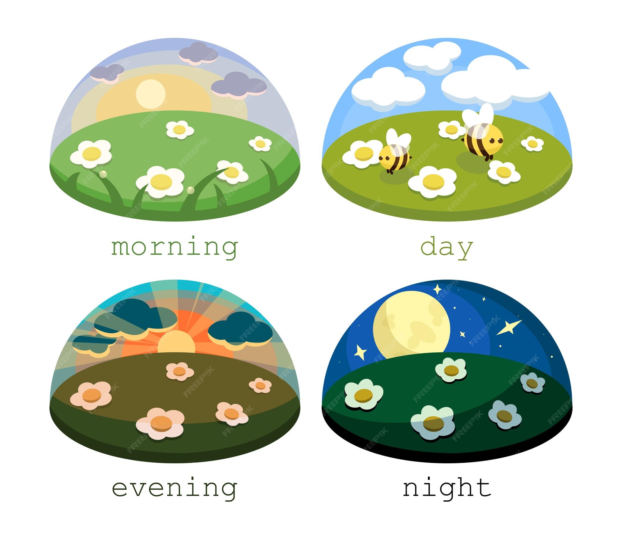 Premium Vector Different Times Of The Day Premium Vector Different Times Of The Day