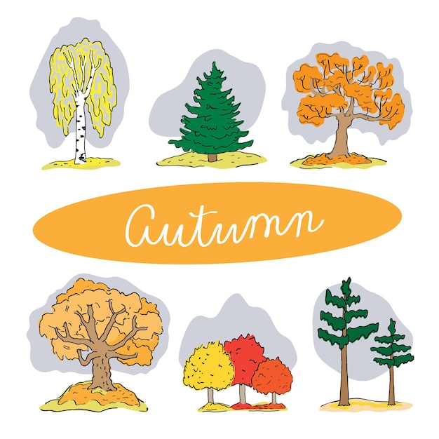 Vector different trees and autumn season