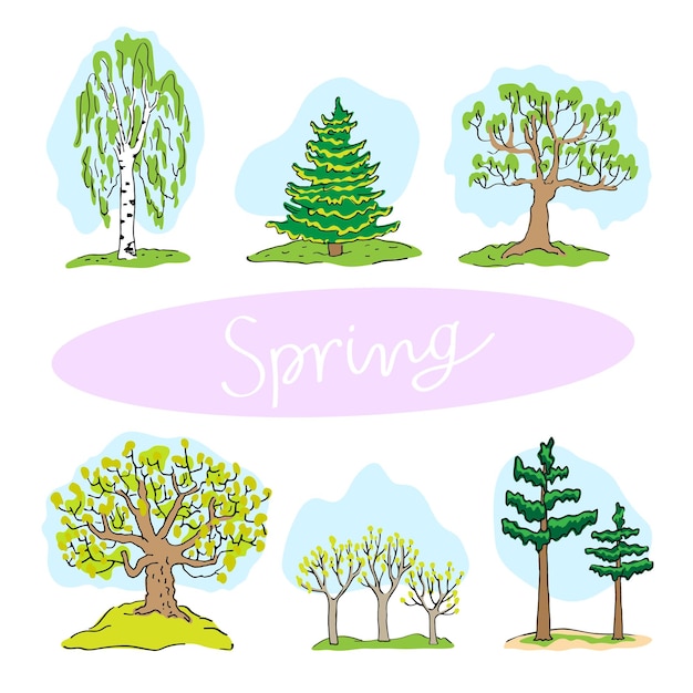 different trees and spring season