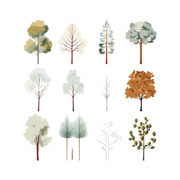 Vector different trees with white background