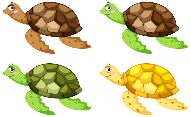 Different turtles in cartoon character