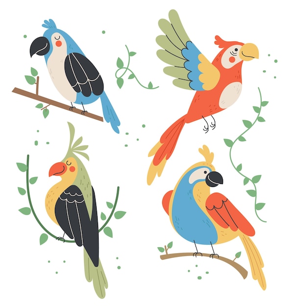 Vector different type of jungle tropic birds isolated flat graphic design cartoon set collection