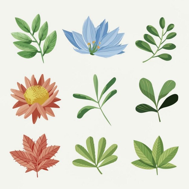 Different type Leaf illustration set