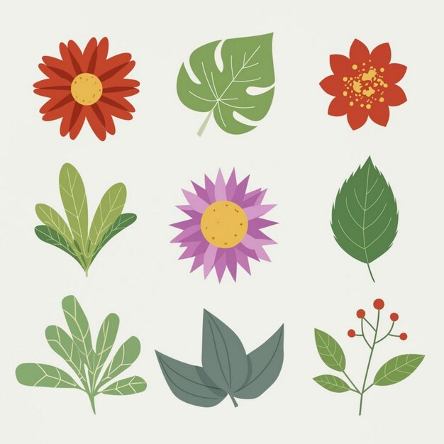 Different type leaf illustration set