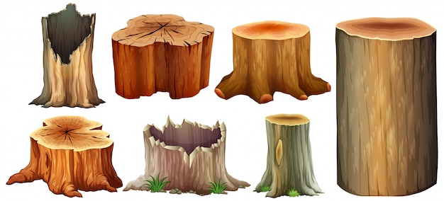 Vector different type of tree stump