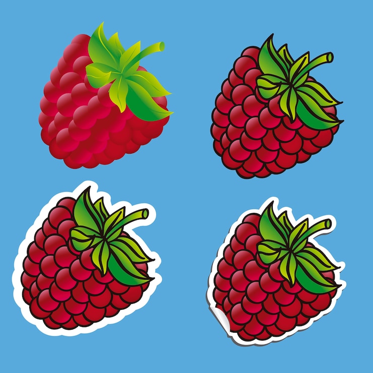Vector different types of blackberries isolated on blue background