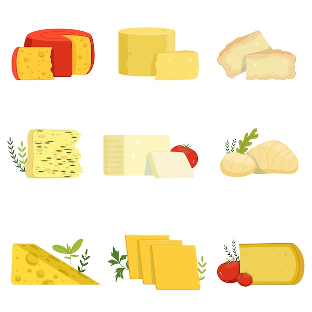 Different types of cheese pieces, popular kind of cheese  illustrations