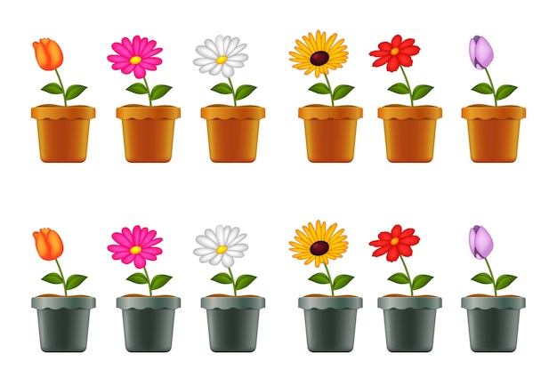 Vector different types of flowers in pots