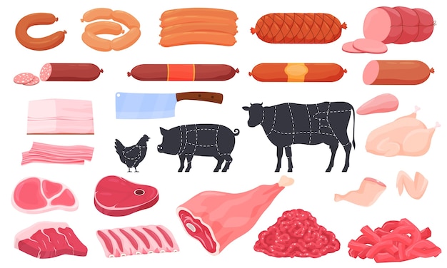 Vector different types of meat. sausages, ham, lard, steak, wings, thighs, chicken, steak, ribs.