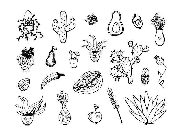 Different types of plants, black doodle set