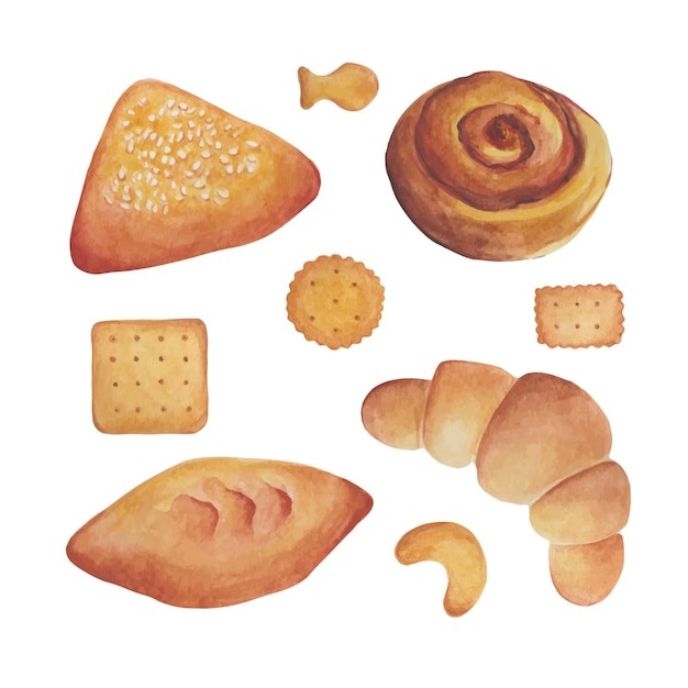 Different types of rolls and cookies in watercolor