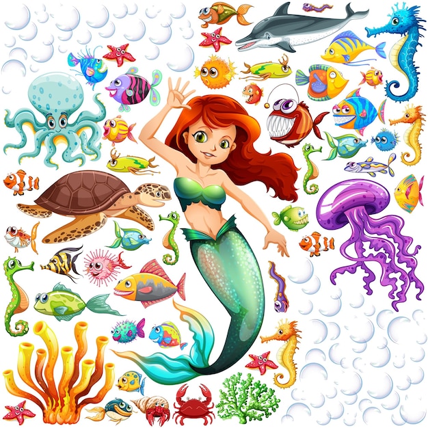 Different types of sea animals