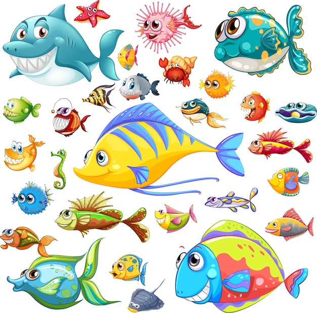 Different types of sea animals