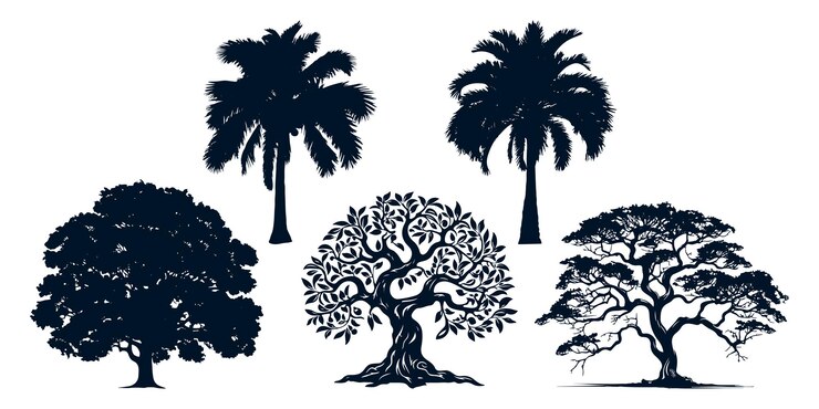 Vector different types of trees silhouettes vector