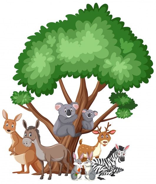 Vector different types of wild animals on white