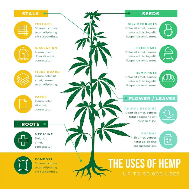 different uses of hemp infographic