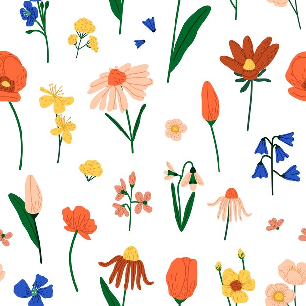 Different wildflowers on endless pattern Various wild meadow flowers blossom field plants poppy chamomile tulip Botanical repeatable print Floral decoration Flat seamless vector illustration