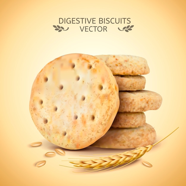 Digestive biscuits element illustration