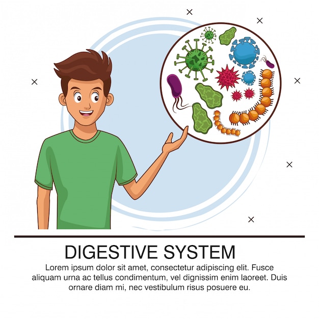 Digestive system bacterias poster