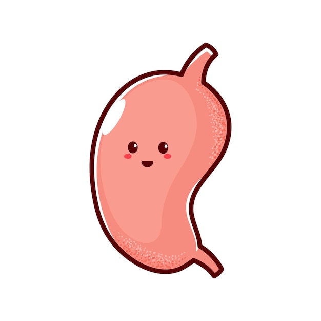 Digestive system organ stomach cartoon character