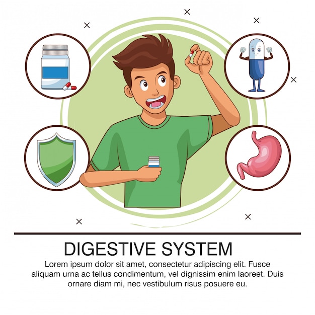 Плакат системы пищеварения с информацией