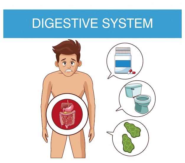 Digestive system and young man