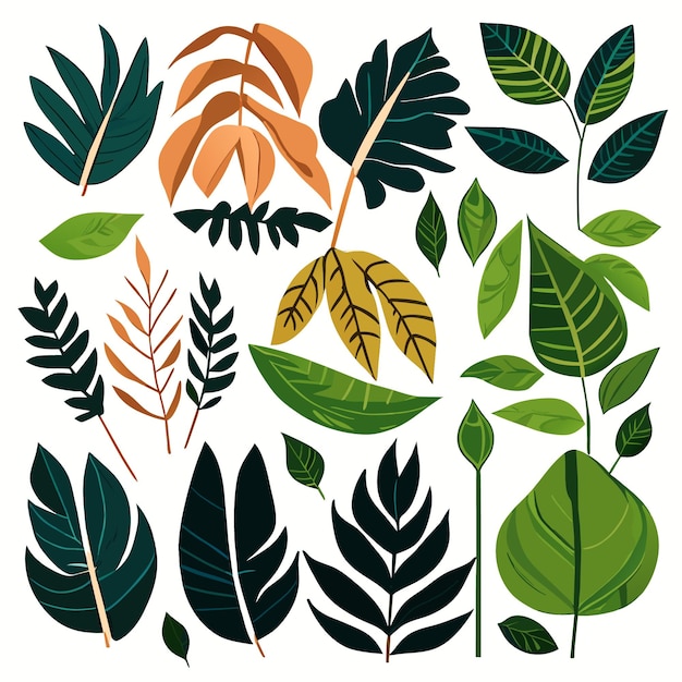 Digital art rainforest leaf shapes vector illustrations